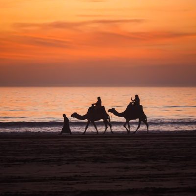 About Falasurf morocco hero