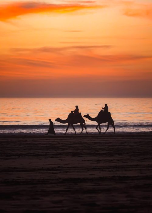 About Falasurf morocco hero